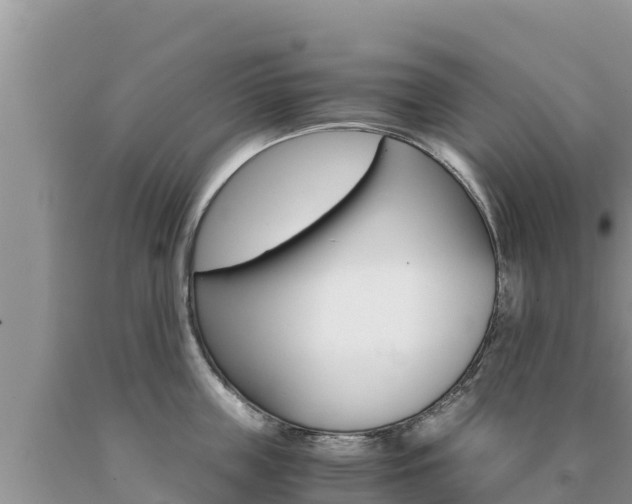 X0000091080859200708061044