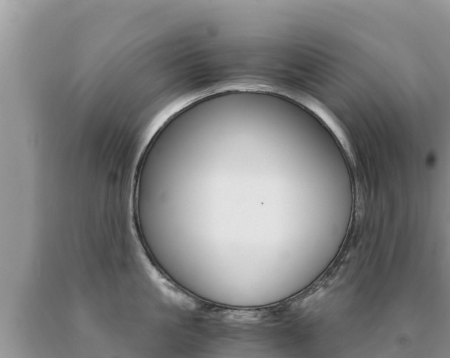 X0000091080861200708061044