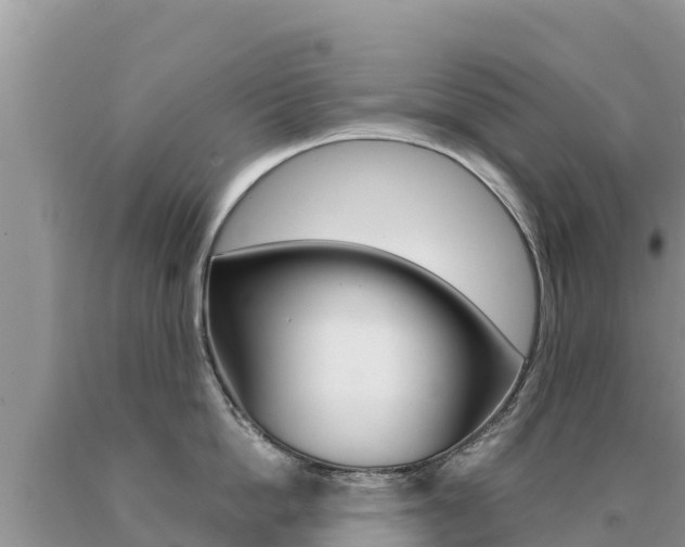 X0000091080862200708061044