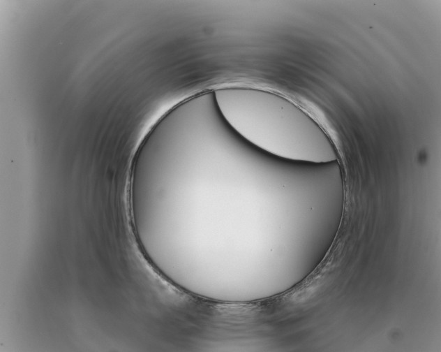 X0000091080863200708061044