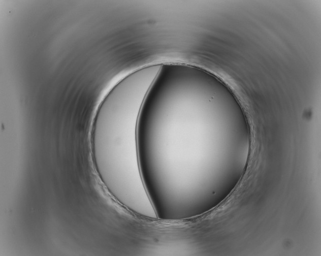 X0000091080864200708061044