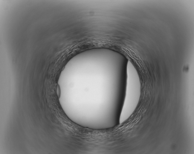 X0000091080865200708061043