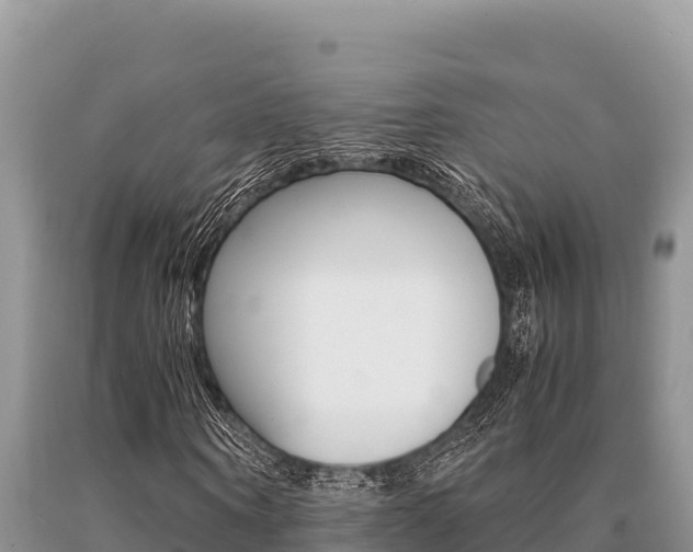 X0000091080866200708061043