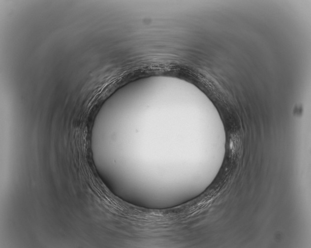 X0000091080867200708061043