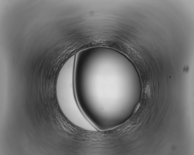 X0000091080868200708061043