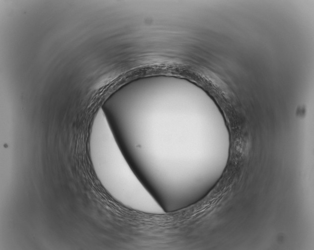 X0000091080869200708061043