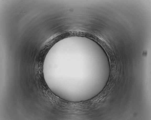 X0000091080870200708061043