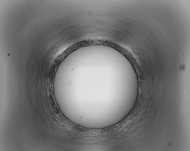 X0000091080871200708061043