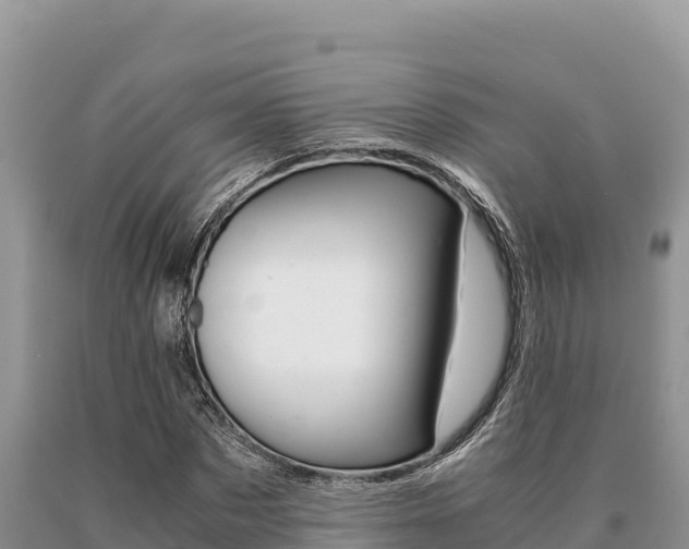 X0000091080873200708061043