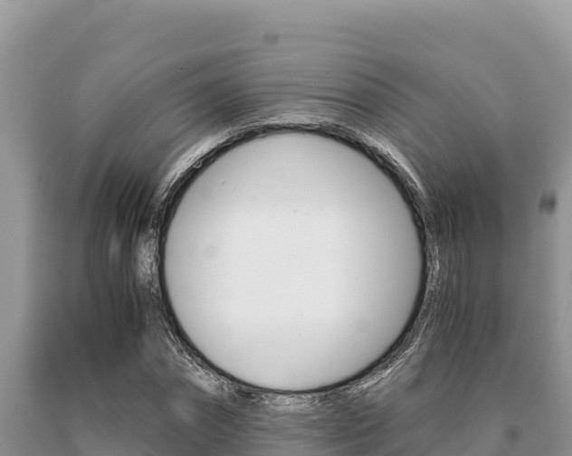 X0000091080874200708061043