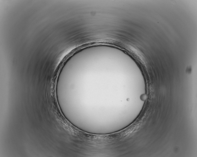X0000091080875200708061043