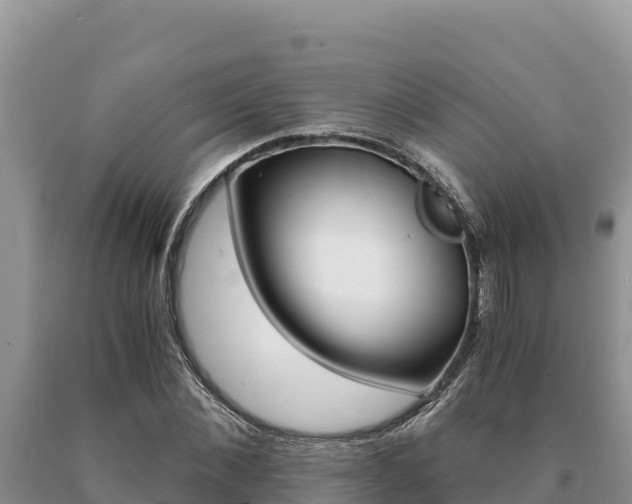 X0000091080876200708061043