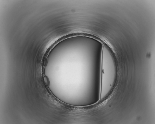 X0000091080877200708061043