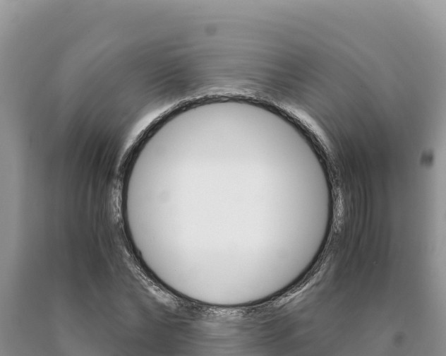 X0000091080878200708061043