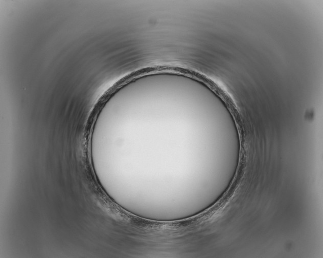 X0000091080879200708061043