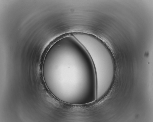 X0000091080880200708061043