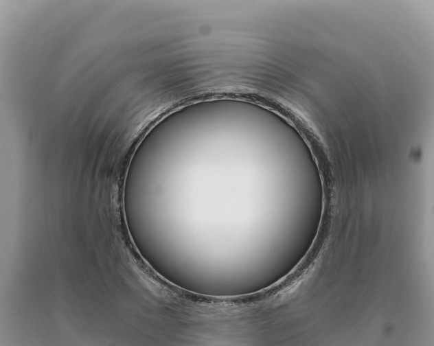 X0000091080881200708061043