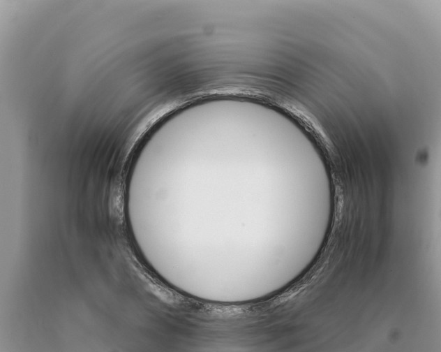 X0000091080882200708061043