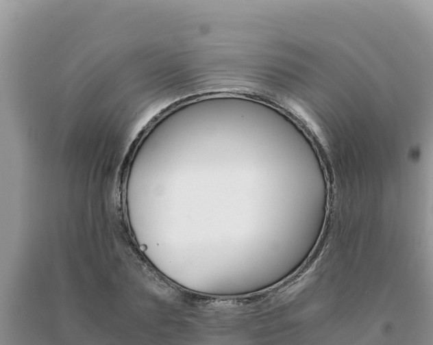 X0000091080883200708061043
