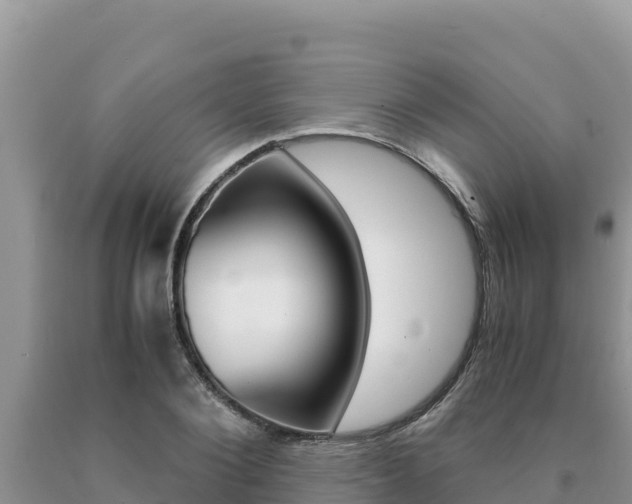 X0000091080884200708061043