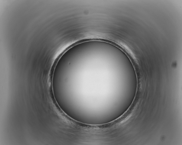 X0000091080885200708061043