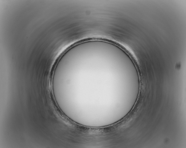 X0000091080887200708061043