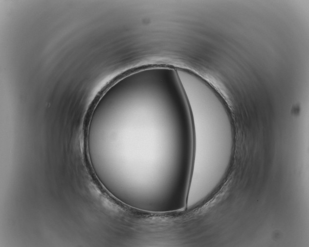 X0000091080888200708061043
