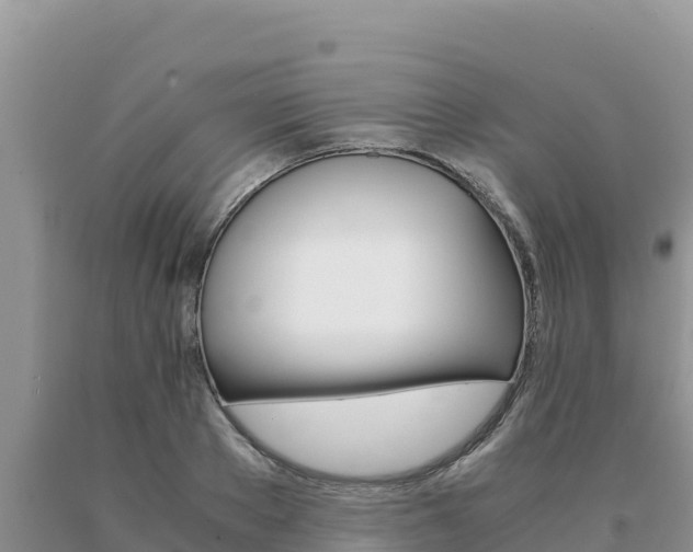 X0000091080889200708061043