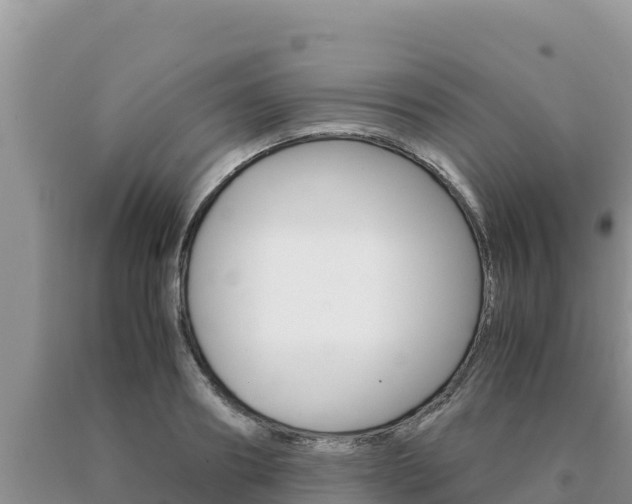 X0000091080890200708061043