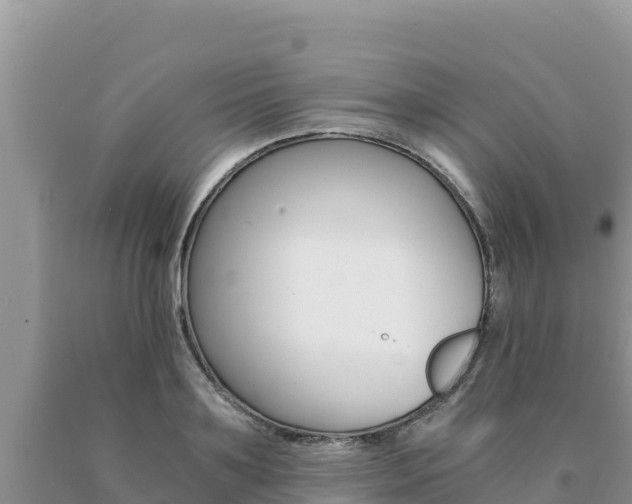 X0000091080891200708061043