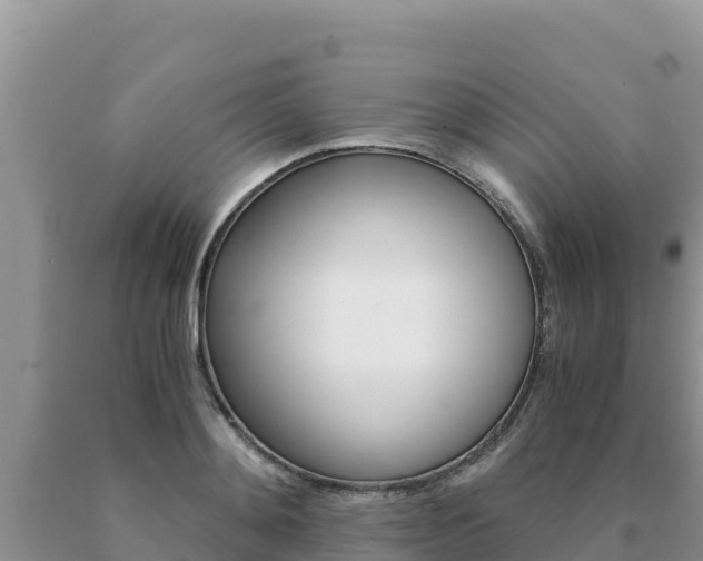 X0000091080892200708061043
