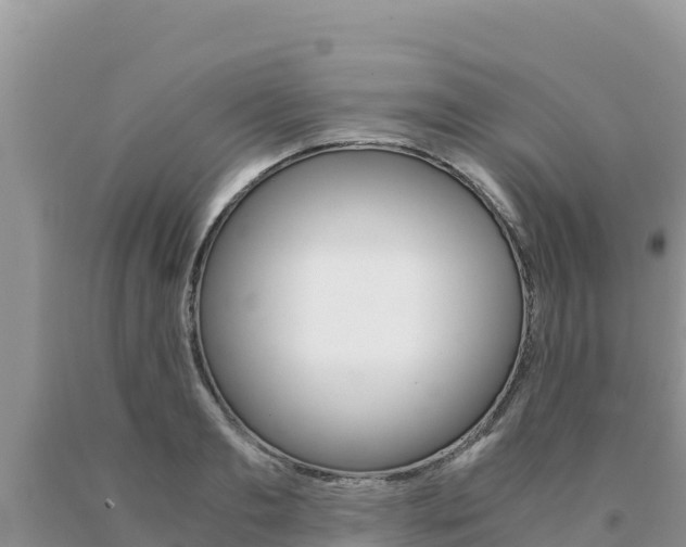 X0000091080893200708061043