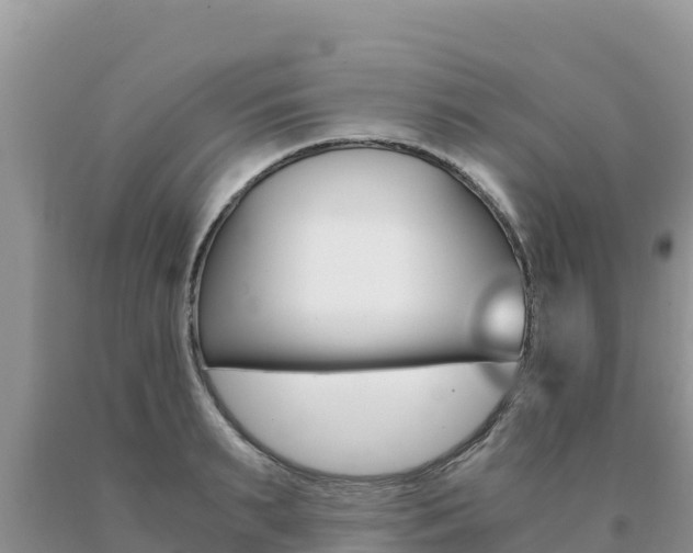 X0000091080895200708061043