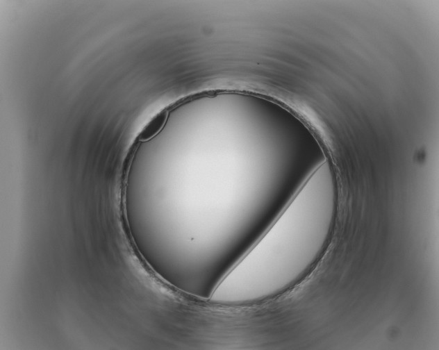 X0000091080896200708061043