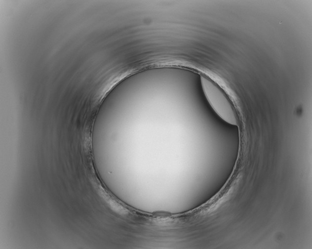 X0000091080897200708061043