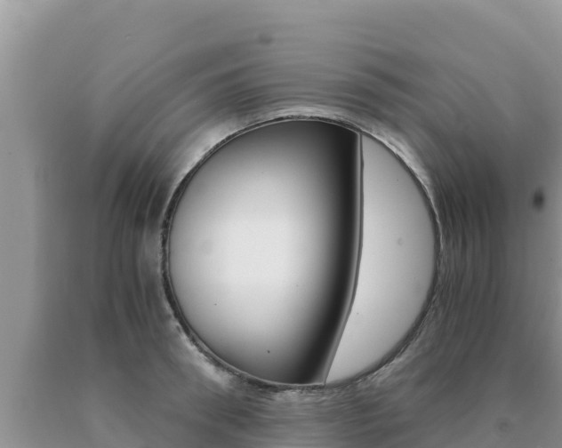 X0000091080898200708061043