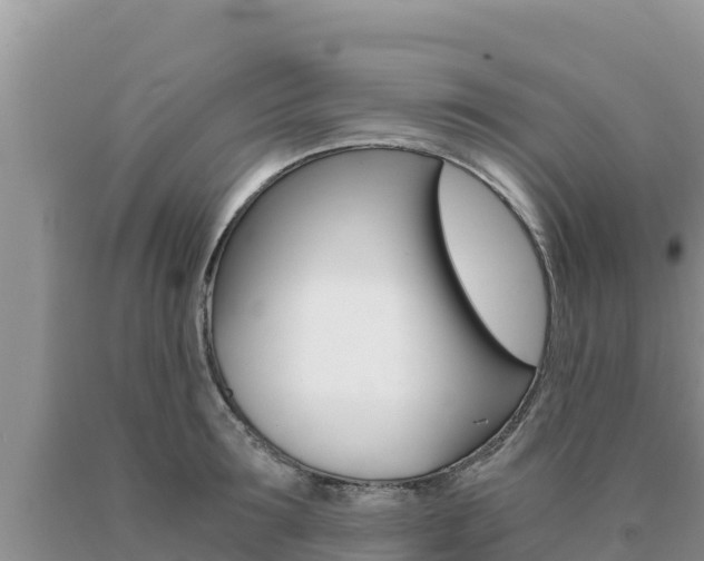 X0000091080899200708061043