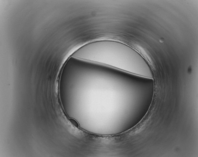 X0000091080900200708061043