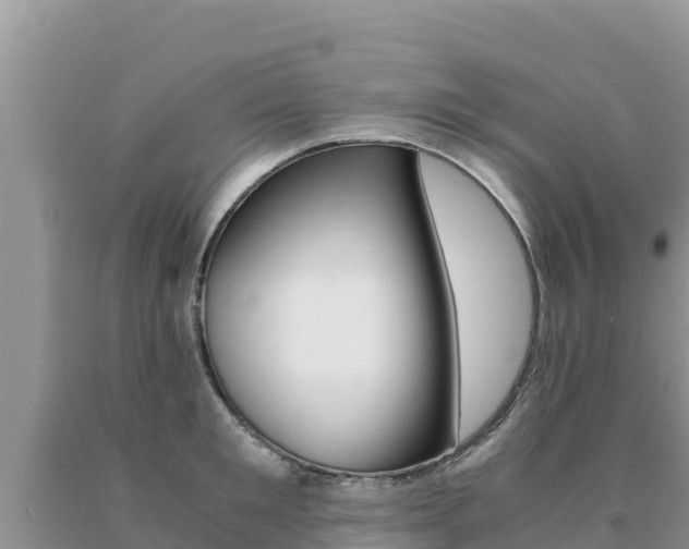 X0000091080901200708061043