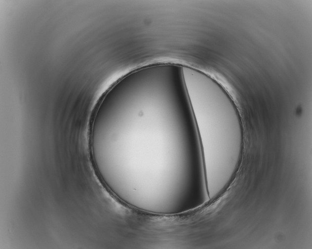 X0000091080902200708061043