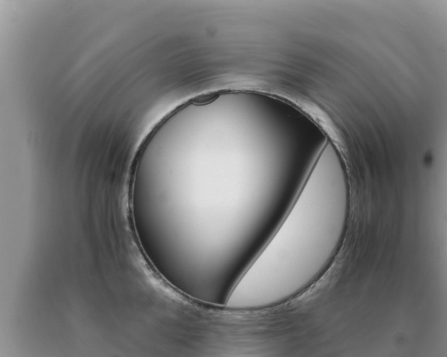 X0000091080904200708061043