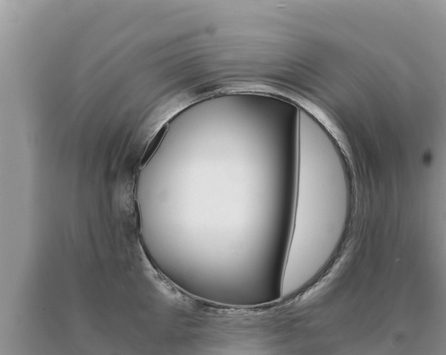 X0000091080905200708061043