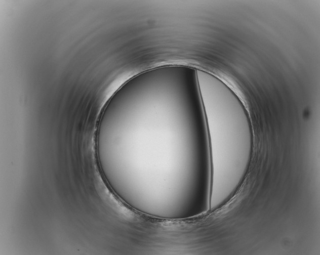 X0000091080906200708061043