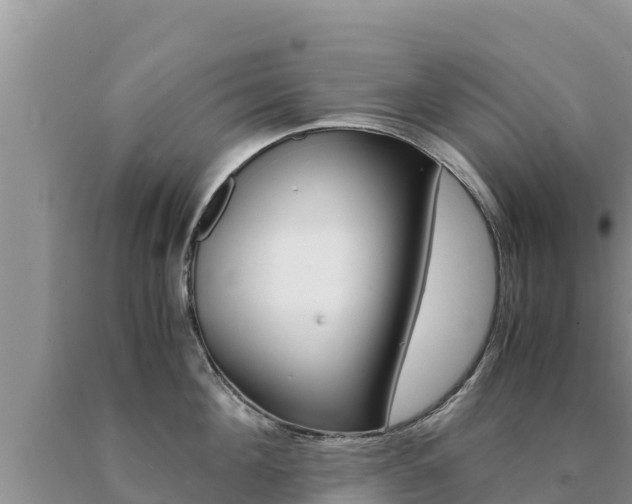 X0000091080908200708061043