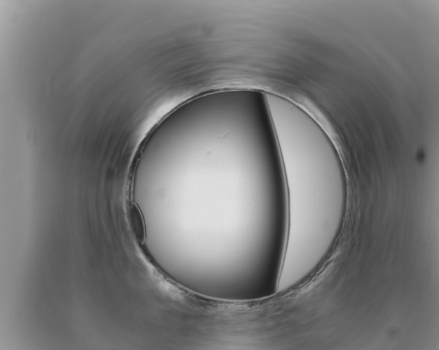 X0000091080909200708061043