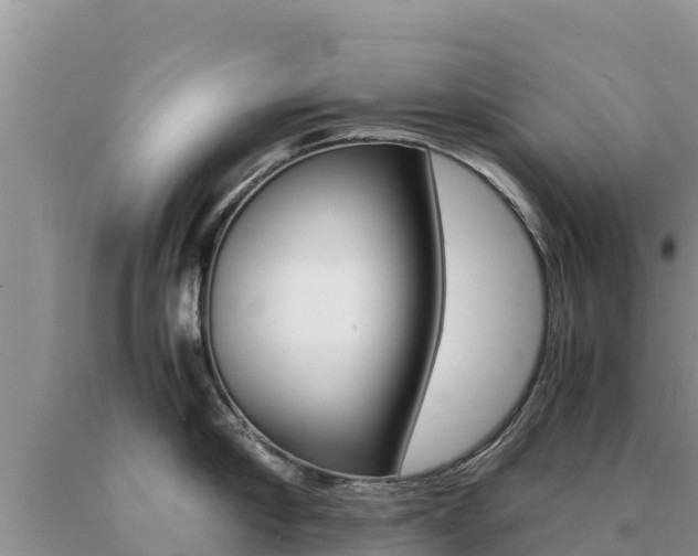 X0000091080910200708061043