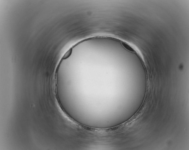 X0000091080911200708061042