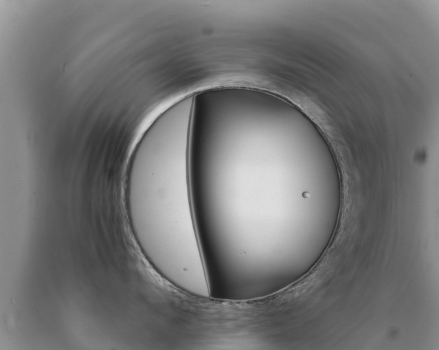 X0000091080912200708061042