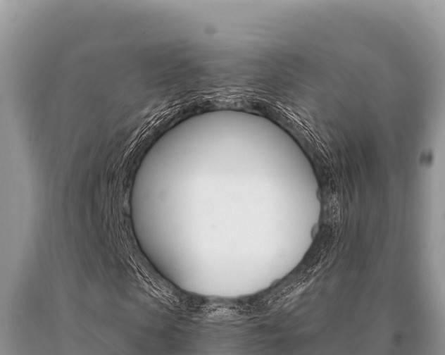 X0000091080913200708061042