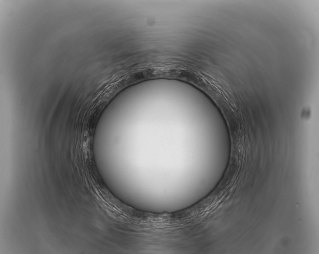X0000091080914200708061042